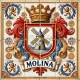 ZZ-HE-H-molina