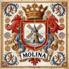 ZZ-HE-H-molina