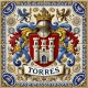 ZZ-HE-H-torres